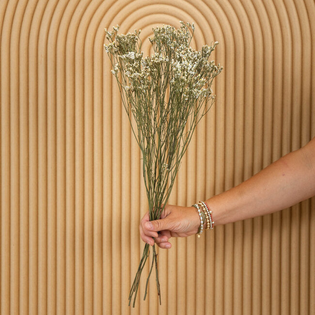 Witte Limonium Diamond droogbloemen | Lengte ± 70 centimeter | Gewicht ± 100 gram