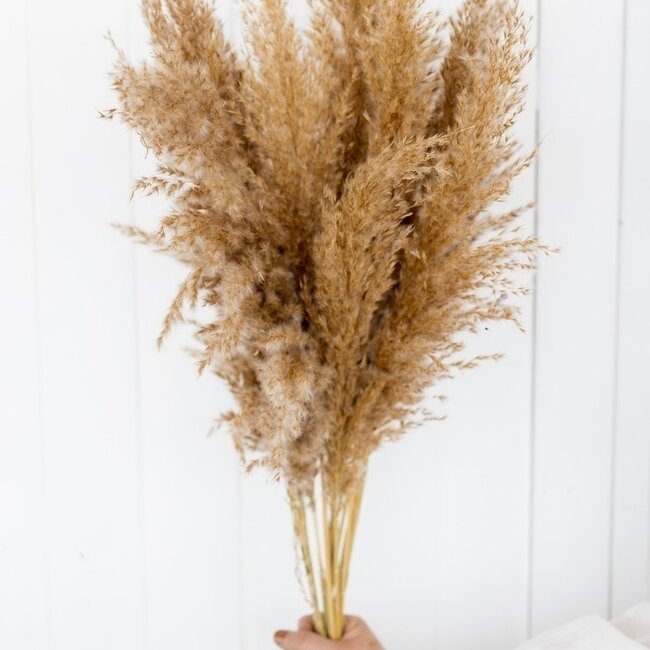 Plumeau en plumes naturelles | Longueur ± 70 centimètres | Poids ± 85 grammes