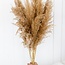 Natural Brown Feather Duster | Length ± 70 centimetres | Weight ± 85 grams