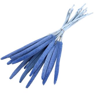 Casa Alegria Babala bleue fleurs séchées | Longueur ± 65 centimètres | Par 15 tiges