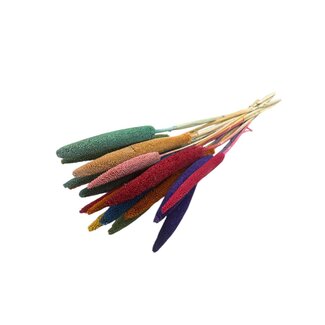 Casa Alegria Rainbow Mix Babala dried flowers | Length ± 65 centimetres | Per 15 stems