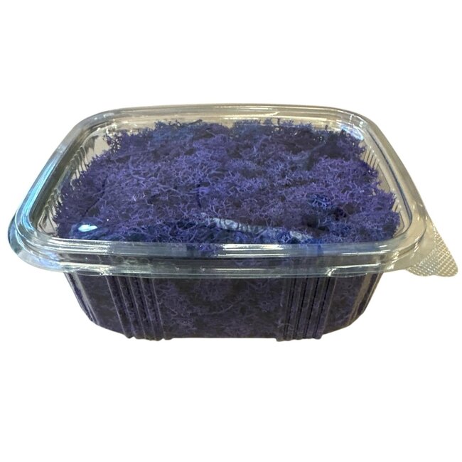 Lichen de renne préservé violet d'Islande | Emballé par 150 grammes