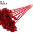 Shola "Dear Holly" Flower on Stick | Colour: Red | Shola Flower Stick | Flower Diameter ± 6 centimetres | Length ± 50 centimetres | 10 sticks per bunch