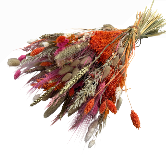 Boeket droogbloemen "Eagerness by Emma" | Lengte ± 65 centimeter | Handgebonden boeket