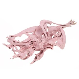 Dutch Dried Pink dried Strelitzia leaves | Length ± 70 centimetres | Per 10 stems