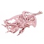 Pink dried Strelitzia leaves | Length ± 70 centimetres | Per 10 stems