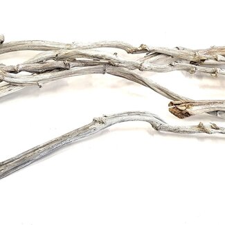 QC Dried Banana Stick | Colour: Frosted White | Dried Decoration | Length 80 centimetres | 5 sticks per bag | Per 4 bags