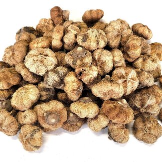 QC Gedroogde Paras Peepal Vruchten | Kleur: Naturelle | Droogdecoratie | Inhoud 500 gram per zakje | Per 4 zakjes