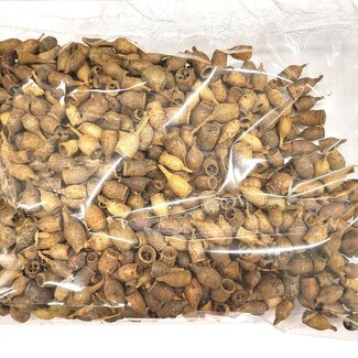 QC Dried Eucalyptus Bell-Shaped Pods | Colour: Natural | Dried Decoration | Contents 250 grams per bag | Per 4 bags