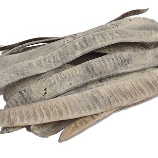 QC Dried Step Fruit Pods | Colour: Frosted White | Dried Decoration Delonix Regia Seed Pods | 20 pods per bag | Per 4 bags