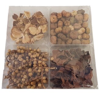 QC Droogdeco Mix in PVC doosje | Kleur: Naturelle Bruin | Droogdecoratie 4 soorten | Inhoud 105 gram | Per 4 doosjes