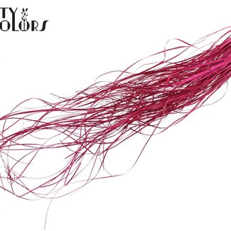 QC Herbe d'ours séchée | Couleur : Cerise | Xerophyllum | Longueur ± 60 centimètres | Par 20 bottes