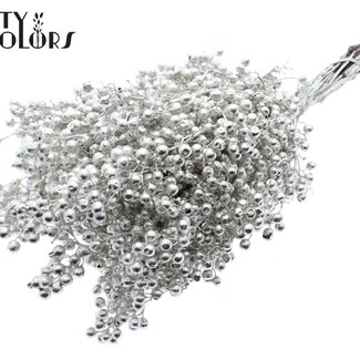 QC Gedroogde Peperbessen Bijstekers | Kleur: Platinakleurig | Schinus Droogdecoratie | Gewicht ± 170 gram | Per 5 bossen