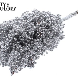 QC Baies de Poivre Séchées Piquets | Couleur : Argenté | Schinus Décoration Sèche | Poids ± 170 grammes | Par 5 bouquets