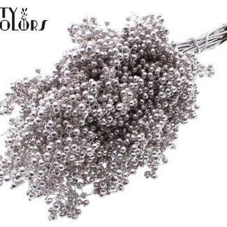 QC Getrocknete Pfefferbeeren-Stecker | Farbe: Champagnerfarben | Schinus Trockenblumendekoration | Gewicht ± 170 Gramm | Pro 5 Bündel