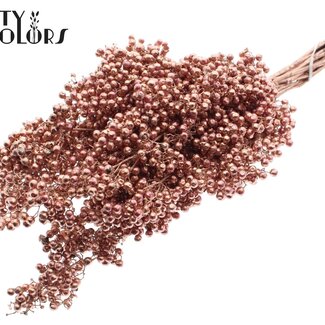 QC Baies de Poivre Séchées Pièces Décoratives | Couleur : Cuivré | Décoration Séchée Schinus | Poids ± 170 grammes | Par 5 bottes