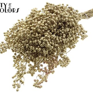 QC Dried Pepper Berries Picks | Colour: Gold-coloured | Schinus Dried Decoration | Weight ± 170 grams | Per 5 bunches