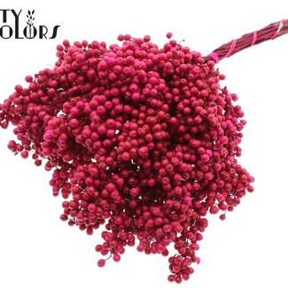 QC Getrocknete Pfefferbeeren-Stecker | Farbe: Kirschrot | Schinus Trockenblumendekoration | Gewicht ± 170 Gramm | Pro 5 Bündel