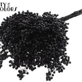 QC Gedroogde Peperbessen Bijstekers | Kleur: Zwart | Schinus Droogdecoratie | Gewicht ± 170 gram | Per 5 bossen