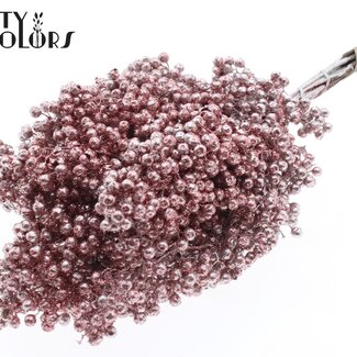 QC Dried Pepper Berries Picks | Colour: Champagne with Glitter | Schinus Dried Decoration | Weight ± 170 grams | Per 5 bunches