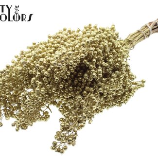 QC Baies de Poivre Séchées Décoratives | Couleur : Doré avec Paillettes | Décoration Séchée de Schinus | Poids ± 170 grammes | Par 5 bouquets