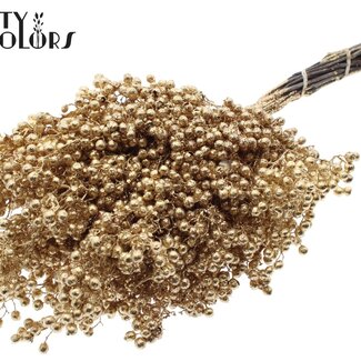 QC Baies de Poivre Séchées Décoratives | Couleur : Doré Antique avec Paillettes | Décoration Sèche Schinus | Poids ± 170 grammes | Par 5 bouquets