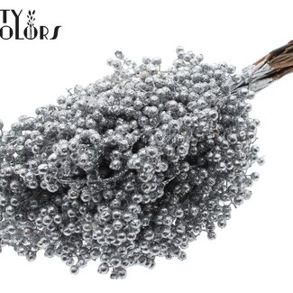 QC Gedroogde Peperbessen Bijstekers | Kleur: Zilverkleurig met Glitter | Schinus Droogdecoratie | Gewicht ± 170 gram | Per 5 bossen
