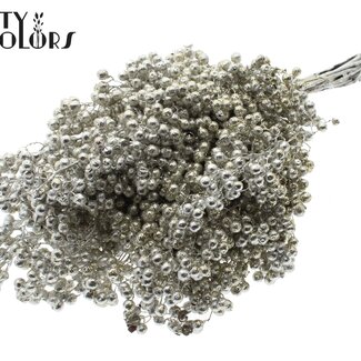 QC Getrocknete Pfefferbeeren-Stecker | Farbe: Platinfarben mit Glitzer | Schinus Trocken-Dekoration | Gewicht ± 170 Gramm | Pro 5 Bündel