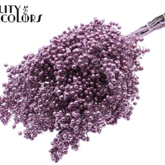 QC Gedroogde Peperbessen Bijstekers | Kleur: Metallic Roze | Schinus Droogdecoratie | Gewicht ± 170 gram | Per 5 bossen