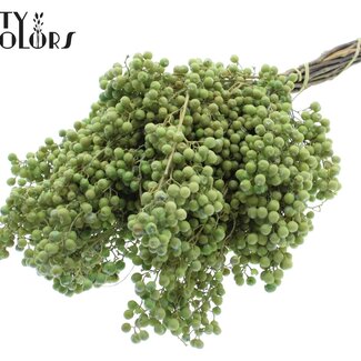 QC Dried Pepper Berries Picks | Colour: Light Green | Schinus Dried Decoration | Weight ± 170 grams | Per 5 bunches