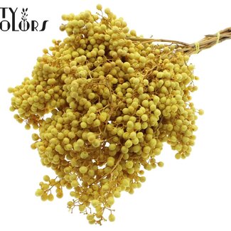 QC Gedroogde Peperbessen Bijstekers | Kleur: Geel | Schinus Droogdecoratie | Gewicht ± 170 gram | Per 5 bossen