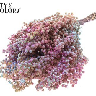 QC Baies de Poivre Séchées avec Piques | Couleur : Dégradé Rose | Décoration Sèche Schinus | Poids ± 170 grammes | Par 5 bottes