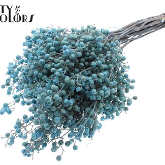 QC Getrocknete Pfefferbeeren-Stecker | Farbe: Hellblau | Schinus Trocken-Dekoration | Gewicht ± 170 Gramm | Pro 5 Bündel