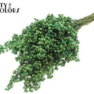 QC Gedroogde Peperbessen Bijstekers | Kleur: Mintgroen | Schinus Droogdecoratie | Gewicht ± 170 gram | Per 5 bossen