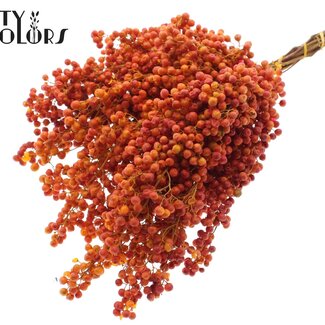 QC Gedroogde Peperbessen Bijstekers | Kleur: Terracotta | Schinus Droogdecoratie | Gewicht ± 170 gram | Per 5 bossen
