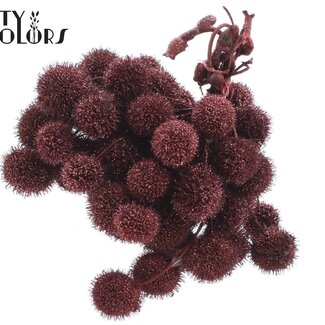 QC Petite boule sur bâton | Couleur : Bordeaux avec paillettes | Petite boule sur tige | 10 tiges par bouquet | Par 5 bouquets