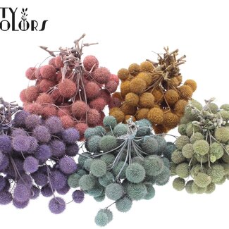 QC Petite Balle sur bâton | Couleur : Couleurs Mixtes Givrées | Petite Balle Piquet | 10 piquets par bouquet | Par 5 bouquets
