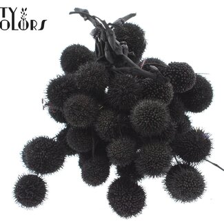 QC Petite Boule sur bâton | Couleur : Noir | Petite Boule Piquet | 10 piquets par bouquet | Par 5 bouquets