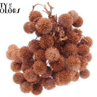 QC Petite boule sur tige | Couleur : Cuivré avec paillettes | Petite boule piquet | 10 piquets par bouquet | Par 5 bouquets