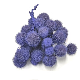 QC Petite Balle sur bâton | Couleur : Lila | Petite Balle Piquet | 10 piquets par bouquet | Par 5 bouquets