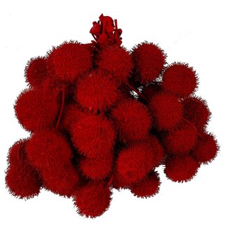 QC Petite Balle sur bâton | Couleur : Rouge avec Paillettes | Petite Balle Décorative | 10 décorations par bouquet | Par 5 bouquets