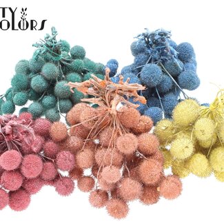 QC Kleine Kugel auf Stab | Farbe: Perle Gemischte Farben | Kleine Kugel Steckblume | 10 Steckblumen pro Bund | Pro 5 Bunde