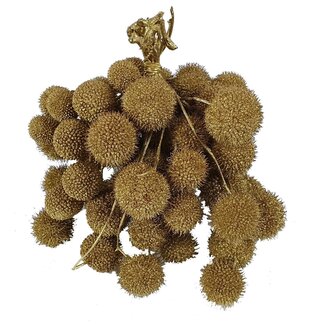 QC Small Ball on Stick | Colour: Gold-coloured | Small Ball Stick | 10 sticks per bunch | Per 5 bunches