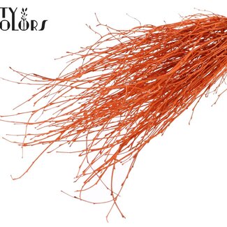 QC Gedroogde Berkentakken | Kleur: Oranje | Lengte ± 70 centimeter | 10 takken per bos