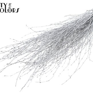 QC Gedroogde Berkentakken | Kleur: Zilverkleurig | Lengte ± 70 centimeter | 10 takken per bos