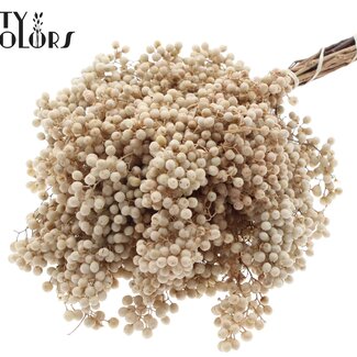 QC Dried Pepper Berries Picks | Colour: Bleached White | Schinus Dried Decoration | Weight ± 170 grams | Per 5 bunches