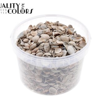 QC North Sea Shells in a reusable bucket | Colour: Natural Brown | Bucket contents 3 litres | Per bucket