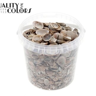 QC Nordsee-Muscheln in einem wiederverwendbaren Eimer | Farbe: Naturbraun | Inhalt Eimer 1 Liter | Pro 6 Eimer
