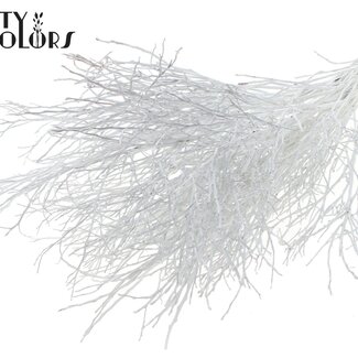 QC Dried Huckleberry | Colour: White | Vaccinium Dried Flower Branches | Per 5 bunches