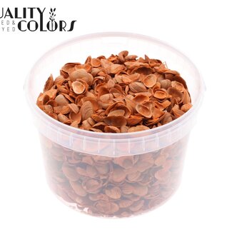 QC Coquillages de la mer du Nord dans un seau réutilisable | Couleur : Orange | Contenu du seau 3 litres | Par seau